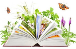 Biblioteka szkolna zaprasza!